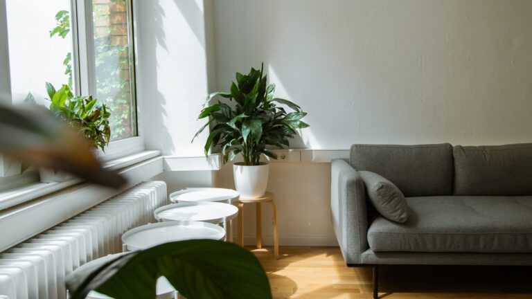 Luxury medical detox facility in Scottsdale Arizona with comfortable seating and natural light.