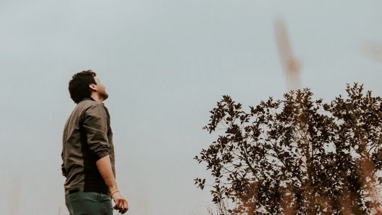 A man gazes at the sky in a peaceful meadow